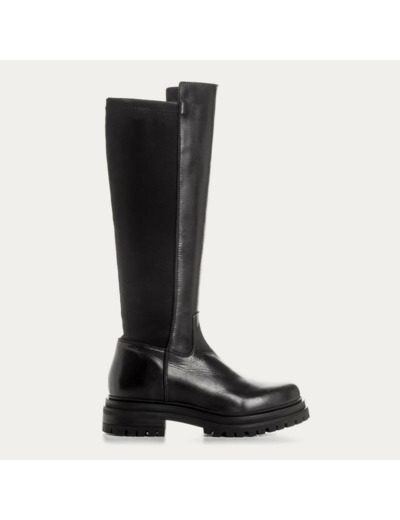 Botte Reqins