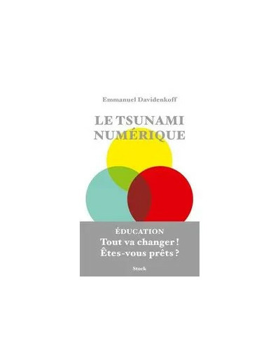 Livre Le Tsunami Numérique