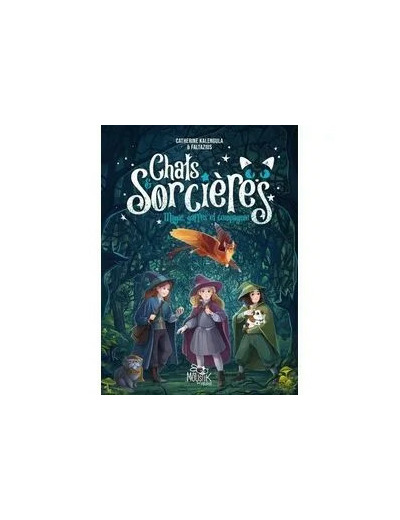 Livre Chats & Sorcières - Tome 1 - Magies, Gaffes Et Compagnie
