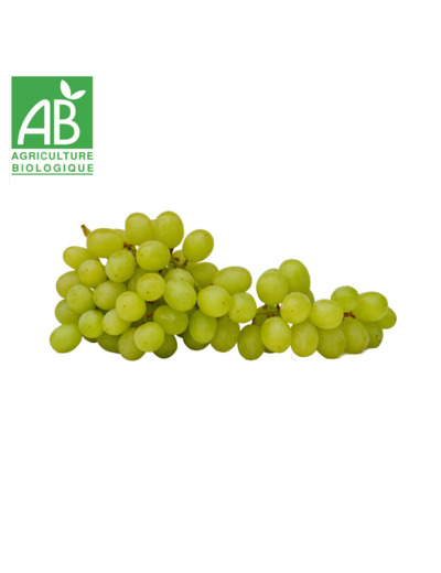 Raisin Blanc Danlas - 500g