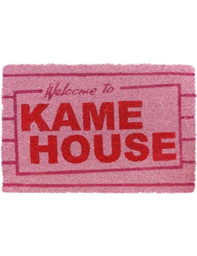 [TAPIS DE SOL] DRAGON BALL - KAME HOUSE