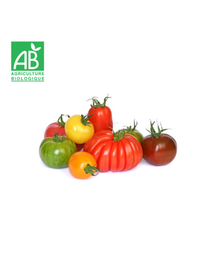Tomates anciennes - 500g