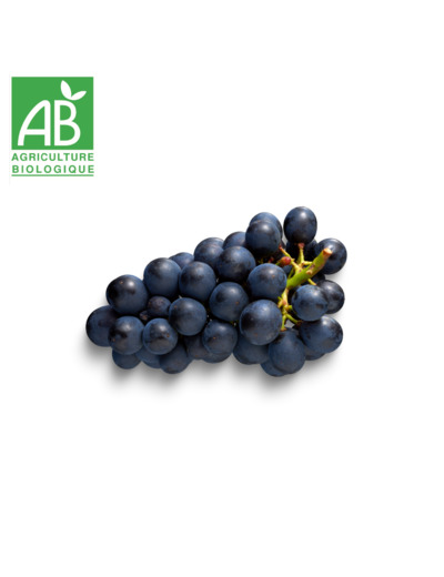 Raisin Noir - 500g