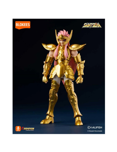 [FIGURINE] Saint Seiya -blokees- Aquarius Camus