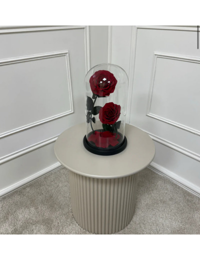 Cloche XL 2 roses