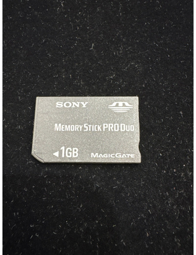 Sony Memory Stick Pro Duo 1 Go