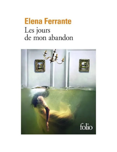 Livre les Jours de Mon Abandon Elena Ferrante