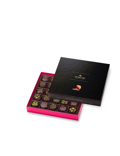 Coffret Initiation 25 chocolats noirs 250g - Collection Initiation Chocolat