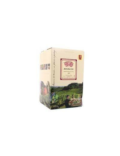 Fontaine a Vin AOC Bourgueil Dom. des Geléries 5L