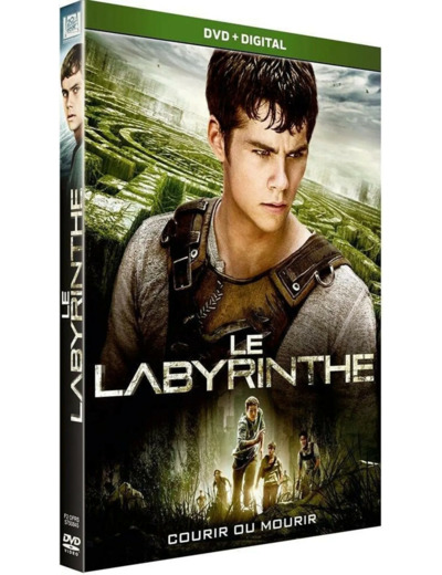 Dvd Le Labyrinthe