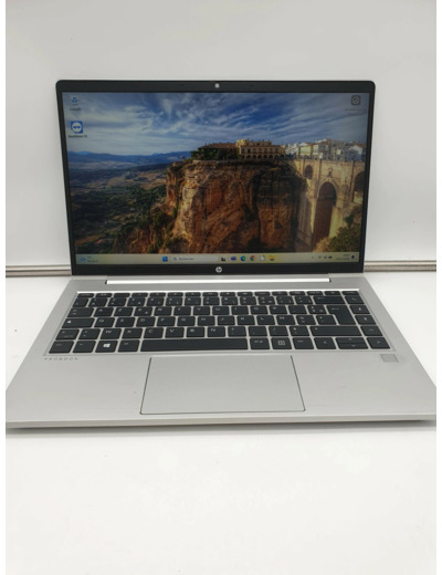 Ordinateur Portable HP Probook 445 G8