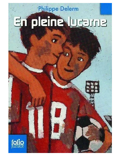 Livre EN PLEINE LUCARNE