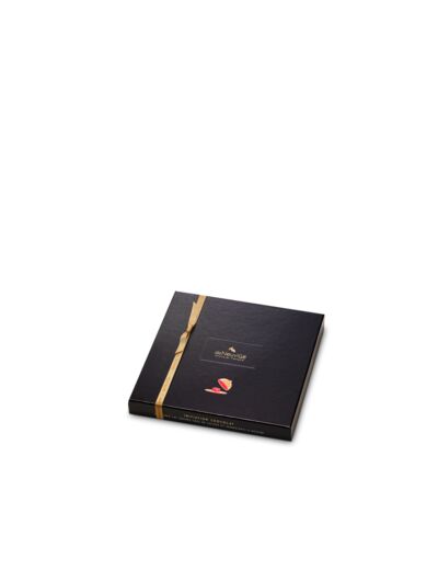 Coffret Initiation 16 chocolats noirs 160g net - Collection Initiation Chocolat