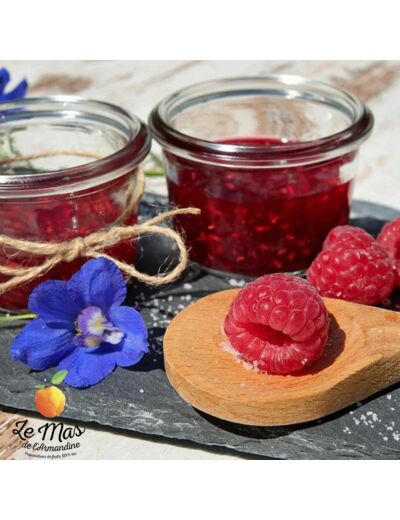 Confiture Framboise - 100g