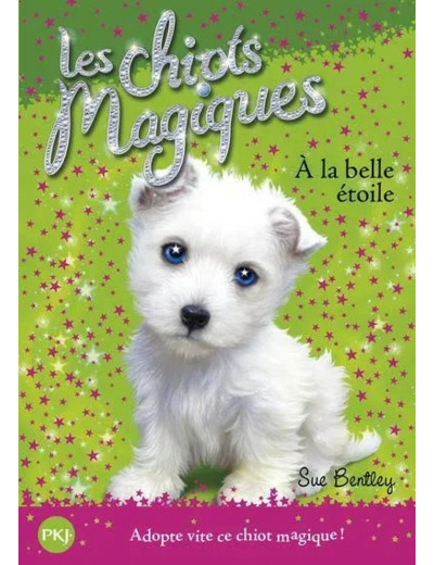 Livre les Chiots Magiques Tome 6  A la Belle Étoile - Editions Pocket Jeunesse