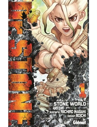 Collection Manga Dr Stone Tome 1 à 22 occasion