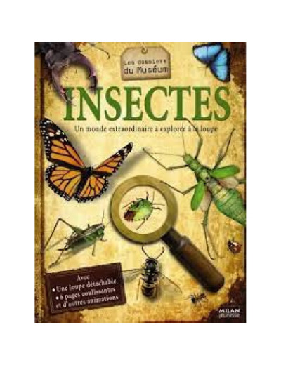 Dvd Insectes