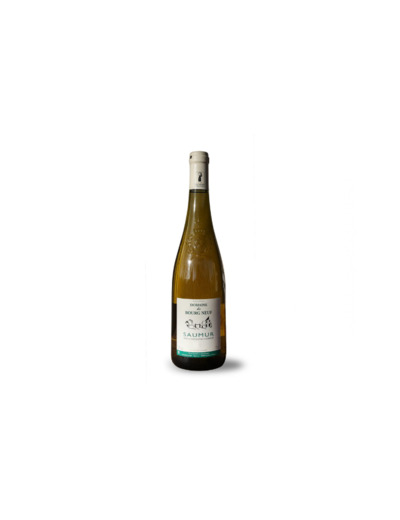 Domaine du Bourgneuf Saumur blanc AOP 2020