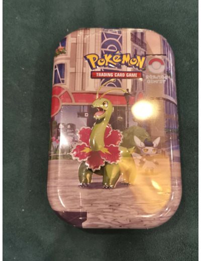 Pokémon : Mini-boîte Illumis – Méganium et Mistigrix