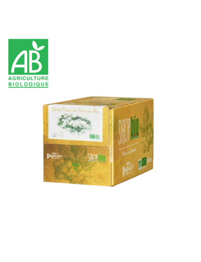 Sirop de fleur sureau Bigallet - 100g