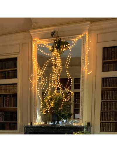 Guirlande Led Cascade