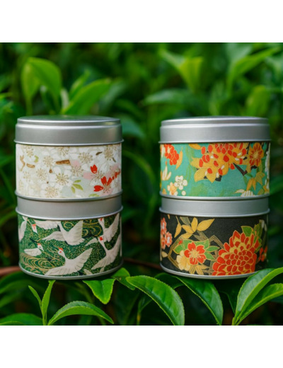 COFFRET INCONTOURNABLES