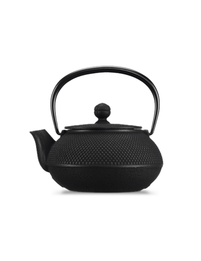 IWACHU Théière fonte 0,55L Arare noire