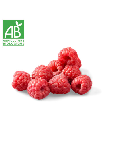 Barquette de Framboise bio x 125g