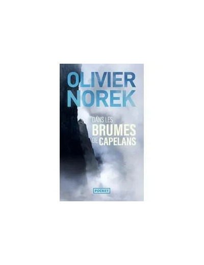 Livre Dans Les Brumes De Capelans