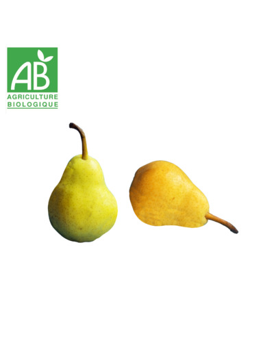 Poire Guyot - 500 g