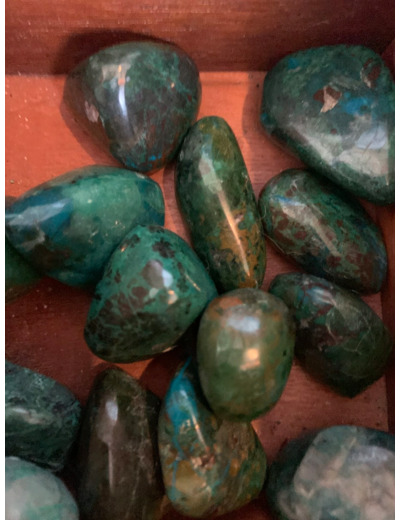 Chrysocolle