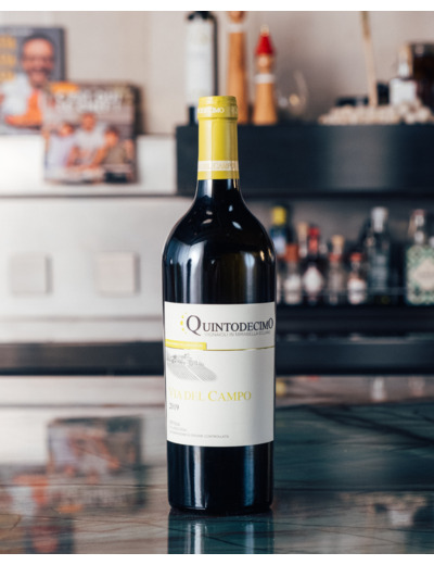 Vin blanc, Quintodecimo Falanghina Via del Campo 2019