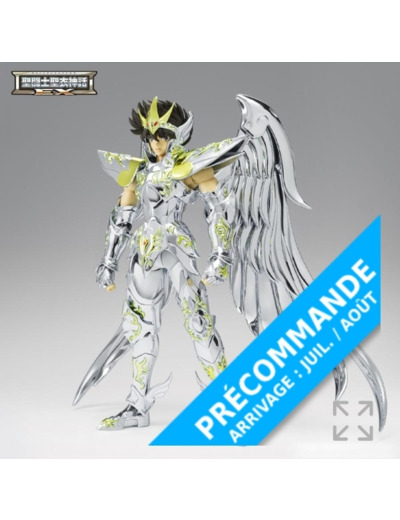 PRECOMMANDE Saint Cloth Myth Ex Pegasus Seiya God Cloth