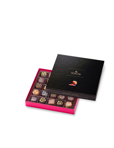 Coffret Initiation 25 chocolats noirs et lait 250g net - Collection Initiation Chocolat