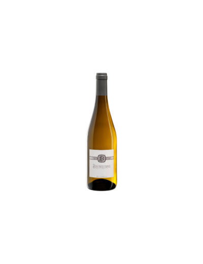 Domaine Guillot-Gonin Bourgogne Blanc "Mon Rêve" AOP