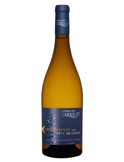 Chardonnay Tête de cuvée 2022 - Côtes de Gascogne IGP 75Cl