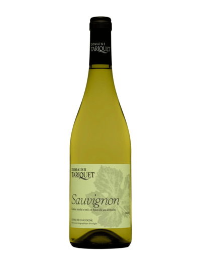 Sauvignon 2023 - Côtes de Gascogne IGP 75Cl