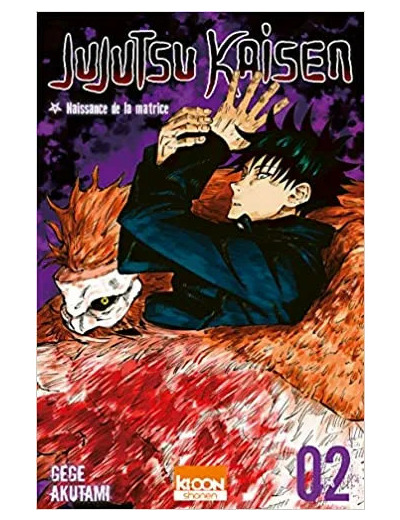Livre Jujutsu Kaisen T02