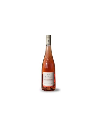 Domaine du Bourgneuf Rosé Cabernet d'Anjou AOP 2020