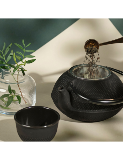 IWACHU Théière fonte 1,15L Arare noire