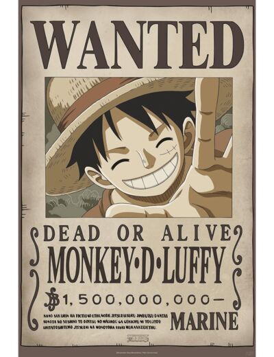 ONE PIECE - Poster Maxi 91,5x61 - Wanted Luffy New 2
