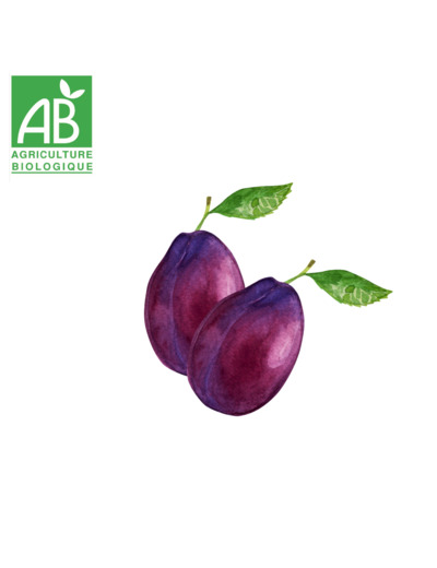 Prunes rouges - 500g