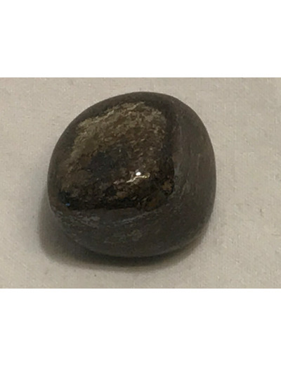 Bronzite