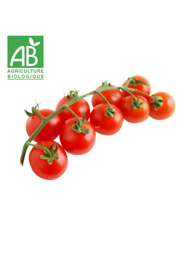 Tomates rondes en grappe - 500g