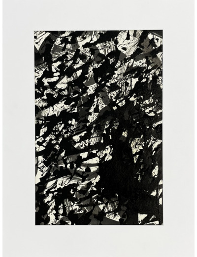 P231207A - Encre de chine sur papier - 30x40 cm