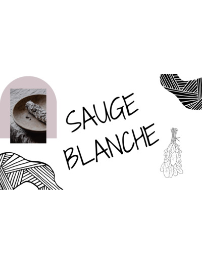 Bougie sauge blanche grand modèle